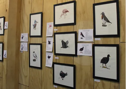 Exposición De Plumas, Sal y Mar en Galería