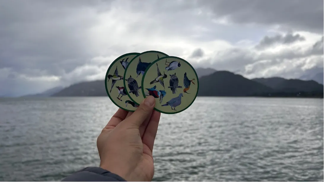 Mazo de cartas Cachañando